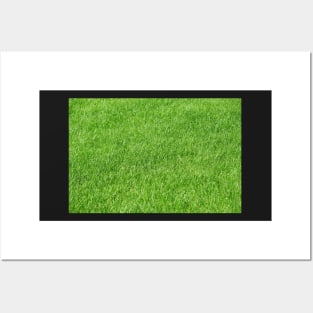 Green grass photo texture Posters and Art